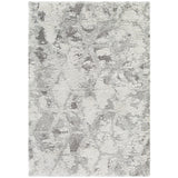 Surya Alta Shag ASG-2302 Area Rug at Creative Carpet & Flooring