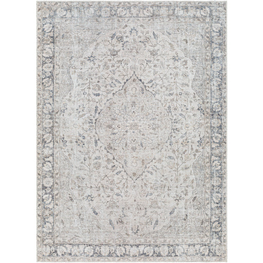 Surya Amelie AML-2385 Area Rug at Creative Carpet & Flooring