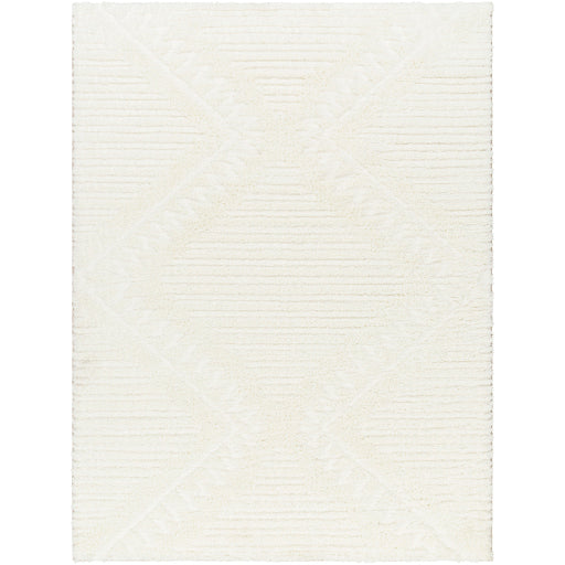 Surya Nomadic NMC-2304 Area Rug