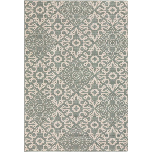 Surya Alfresco ALF-9634 Area Rug at Creative Carpet & Flooring