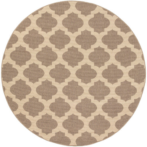 Surya Alfresco ALF-9649 Area Rug at Creative Carpet & Flooring