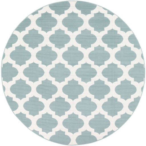 Surya Alfresco ALF-9664 Area Rug at Creative Carpet & Flooring