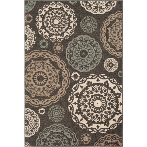 Surya Alfresco ALF-9668 Area Rug at Creative Carpet & Flooring