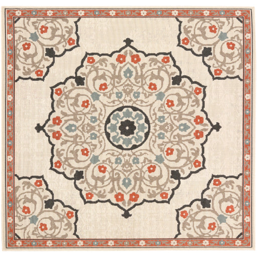 Surya Alfresco ALF-9679 Area Rug at Creative Carpet & Flooring