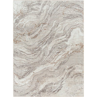 Surya Allegro ALG-2318 Area Rug at Creative Carpet & Flooring