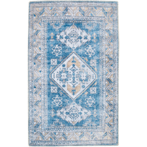 Surya Amelie AML-2315 Area Rug at Creative Carpet & Flooring