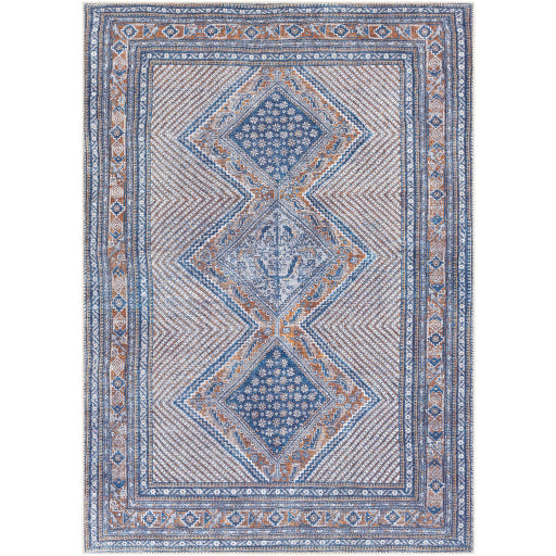 Surya Amelie AML-2323 Area Rug at Creative Carpet & Flooring