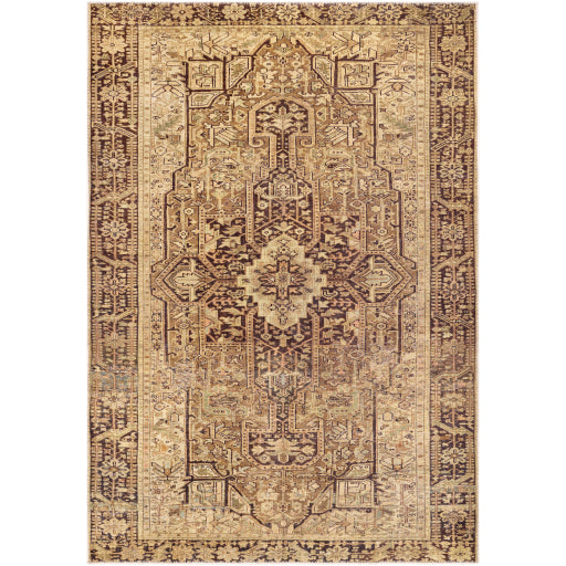 Surya Amelie AML-2348 Area Rug at Creative Carpet & Flooring