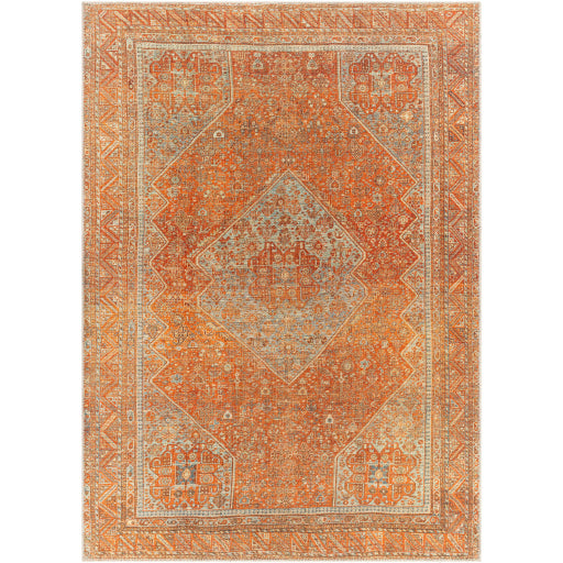 Surya Amelie AML-2351 Area Rug at Creative Carpet & Flooring