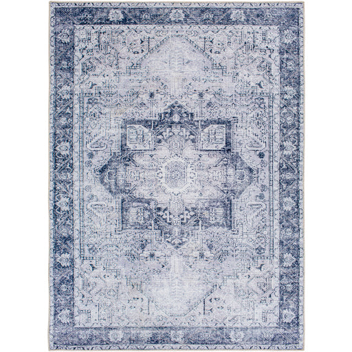 Surya Amelie AML-2361 Area Rug at Creative Carpet & Flooring