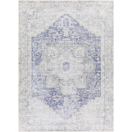 Surya Amelie AML-2363 Area Rug at Creative Carpet & Flooring