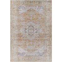 Surya Amelie AML-2367 Area Rug at Creative Carpet & Flooring