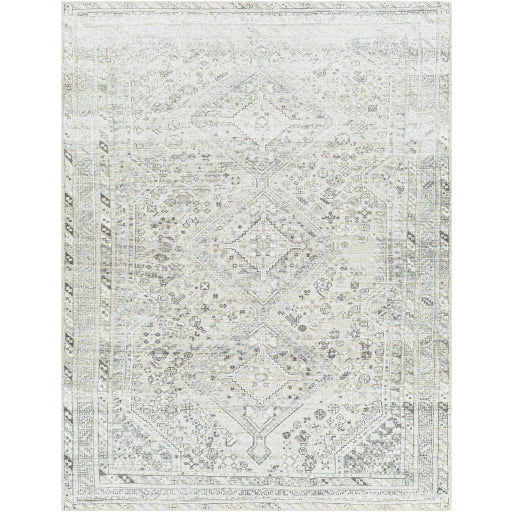 Surya Amelie AML-2379 Area Rug at Creative Carpet & Flooring