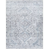 Surya Amelie AML-2380 Area Rug at Creative Carpet & Flooring