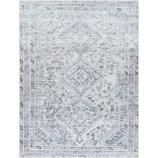 Surya Amelie AML-2380 Area Rug at Creative Carpet & Flooring