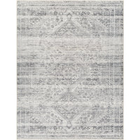 Surya Amelie AML-2381 Area Rug at Creative Carpet & Flooring