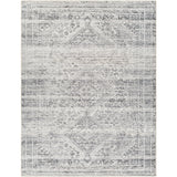 Surya Amelie AML-2381 Area Rug at Creative Carpet & Flooring