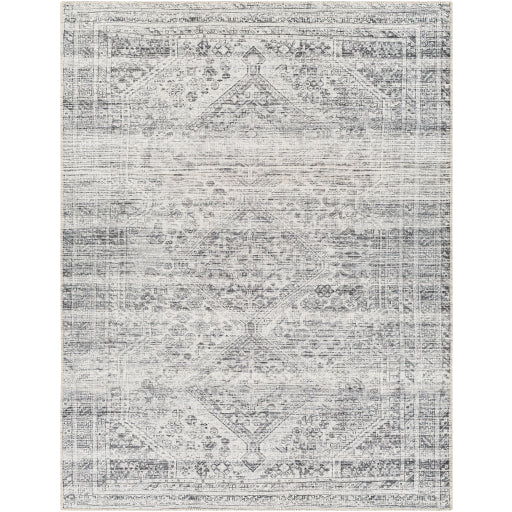 Surya Amelie AML-2381 Area Rug at Creative Carpet & Flooring