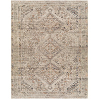 Surya Amelie AML-2383 Area Rug at Creative Carpet & Flooring