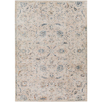 Surya Amore AMO-2305 Area Rug at Creative Carpet & Flooring