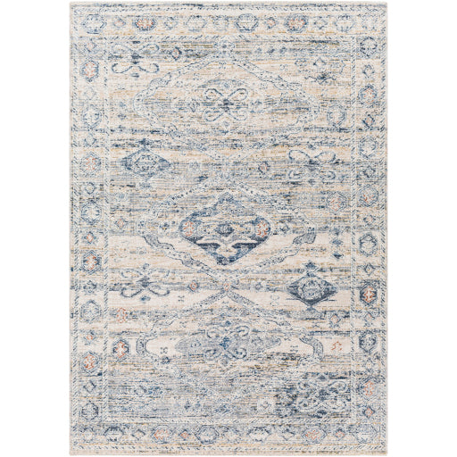 Surya Amore AMO-2309 Area Rug at Creative Carpet & Flooring