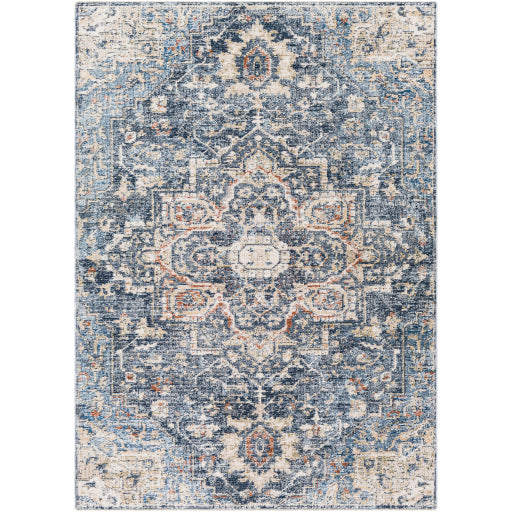 Surya Amore AMO-2310 Area Rug at Creative Carpet & Flooring