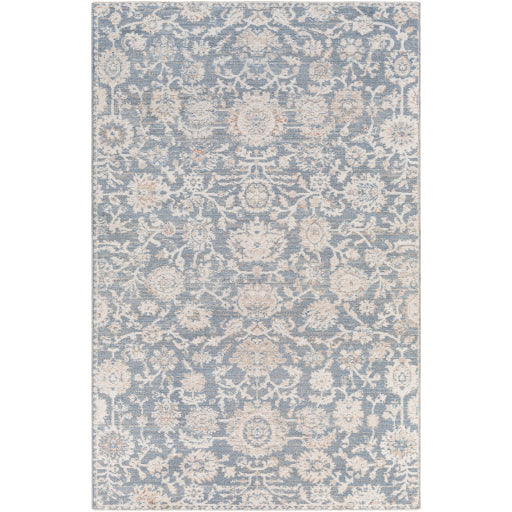 Surya Amore AMO-2313 Area Rug at Creative Carpet & Flooring