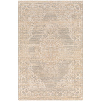 Surya Amore AMO-2323 Area Rug at Creative Carpet & Flooring