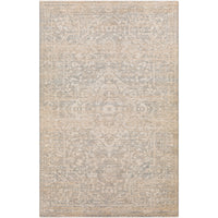 Surya Amore AMO-2324 Area Rug at Creative Carpet & Flooring