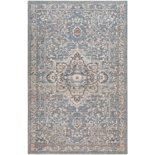 Surya Amore AMO-2328 Area Rug at Creative Carpet & Flooring