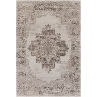 Surya Amsterdam AMS-1023 Area Rug at Creative Carpet & Flooring