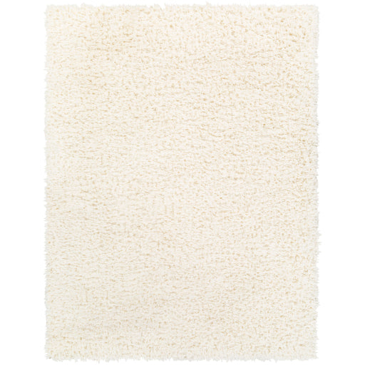 Angora Polyester Rug Surya Angora ANG-2304 Area Rug at Creative Carpet & Flooring