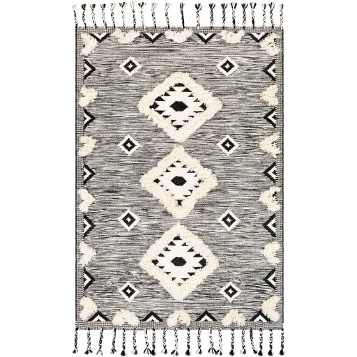 Surya Apache APA-2302 Area Rug at Creative Carpet & Flooring