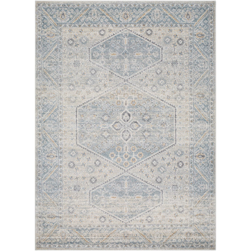 Surya Alpharetta APH-2313 Area Rug at Creative Carpet & Flooring