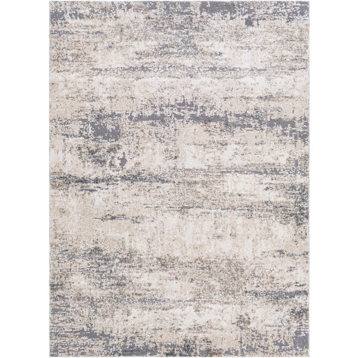 Surya Andorra ARD-2300 Area Rug at Creative Carpet & Flooring