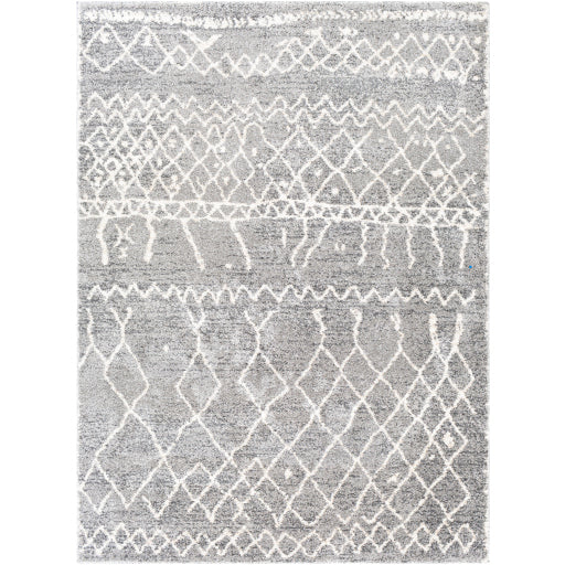 Surya Andorra ARD-2304 Area Rug at Creative Carpet & Flooring