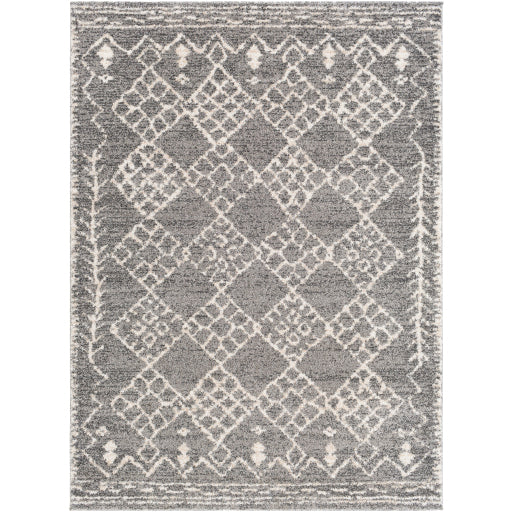 Surya Andorra ARD-2308 Area Rug at Creative Carpet & Flooring