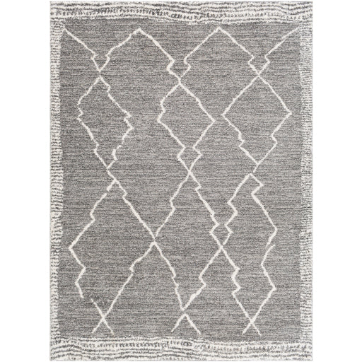 Surya Andorra ARD-2309 Area Rug at Creative Carpet & Flooring