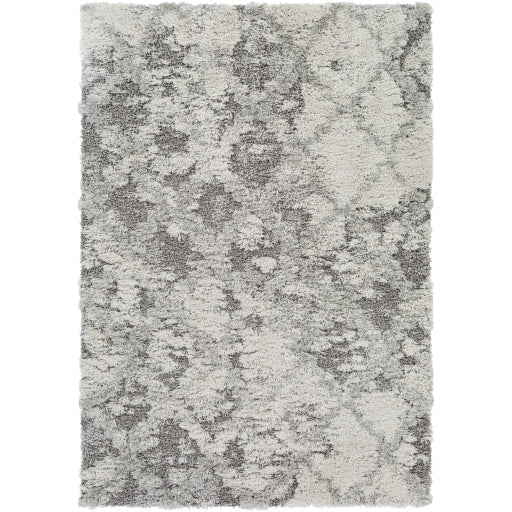 Surya Alta Shag ASG-2305 Area Rug at Creative Carpet & Flooring