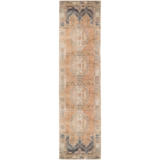 Surya Antiquity AUY-2305 Area Rug at Creative Carpet & Flooring