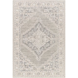 Surya Addyson AYO-2303 Area Rug at Creative Carpet & Flooring