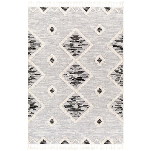 Surya Azilal AZI-2313 Area Rug at Creative Carpet & Flooring