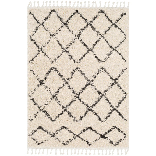 Surya Berber Shag BBE-2300 Area Rug at Creative Carpet & Flooring