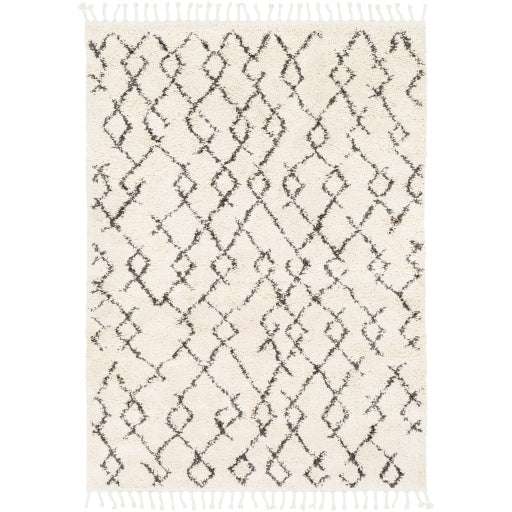 Surya Berber Shag BBE-2301 Area Rug at Creative Carpet & Flooring