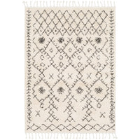 Surya Berber Shag BBE-2302 Area Rug at Creative Carpet & Flooring