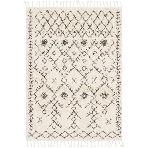 Surya Berber Shag BBE-2302 Area Rug at Creative Carpet & Flooring