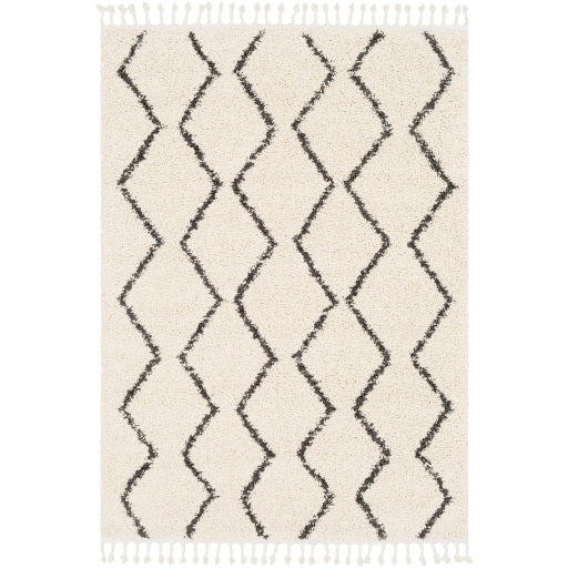 Surya Berber Shag BBE-2303 Area Rug at Creative Carpet & Flooring