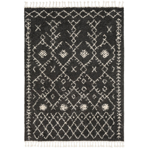 Surya Berber Shag BBE-2308 Area Rug at Creative Carpet & Flooring