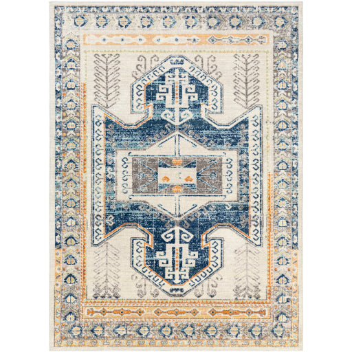 Surya Bodrum BDM-2319 Area Rug at Creative Carpet & Flooring