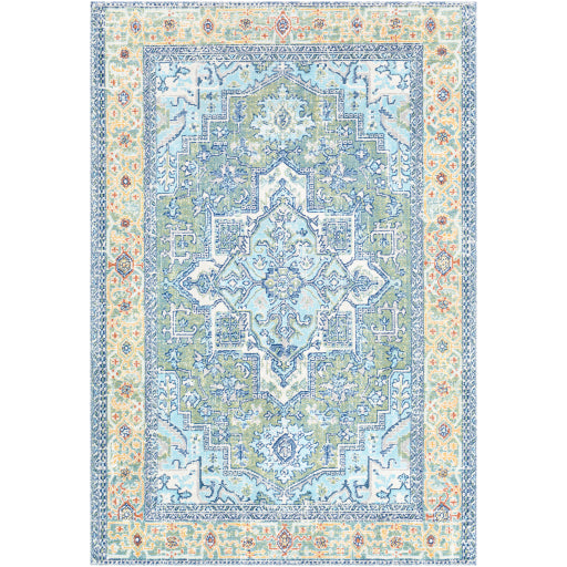 Surya Bodrum BDM-2335 Area Rug at Creative Carpet & Flooring